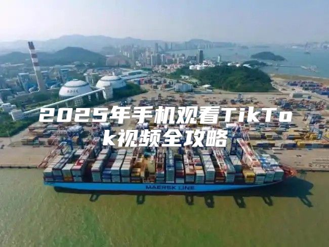 2025年手机观看TikTok视频全攻略