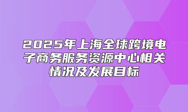 2025年上海全球跨境电子商务服务资源中心相关情况及发展目标