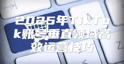 2025年TikTok账号垂直领域高效运营技巧