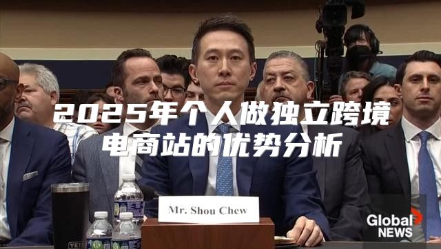 2025年个人做独立跨境电商站的优势分析