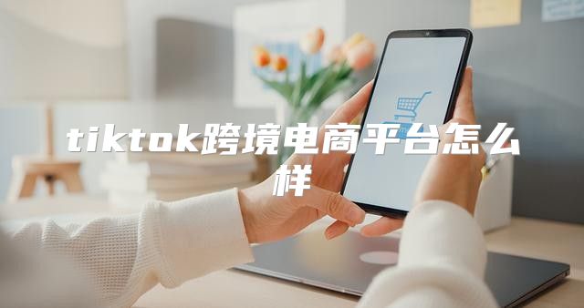 tiktok跨境电商平台怎么样