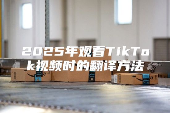 2025年观看TikTok视频时的翻译方法