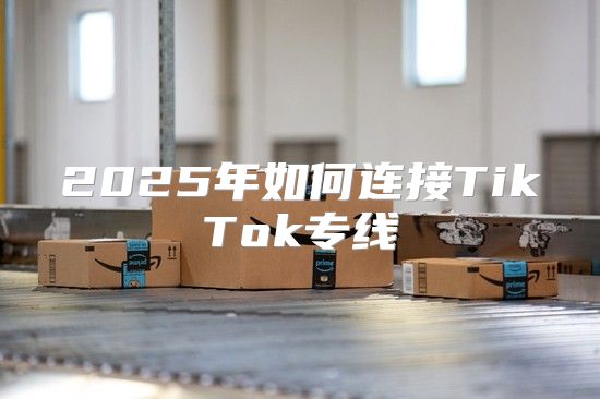 2025年如何连接TikTok专线