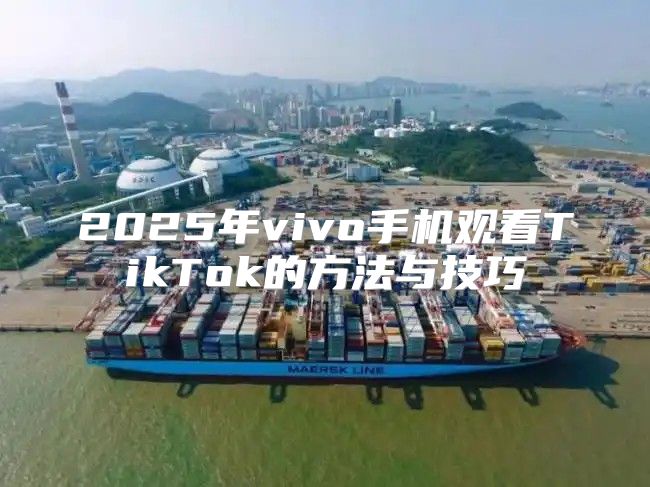 2025年vivo手机观看TikTok的方法与技巧