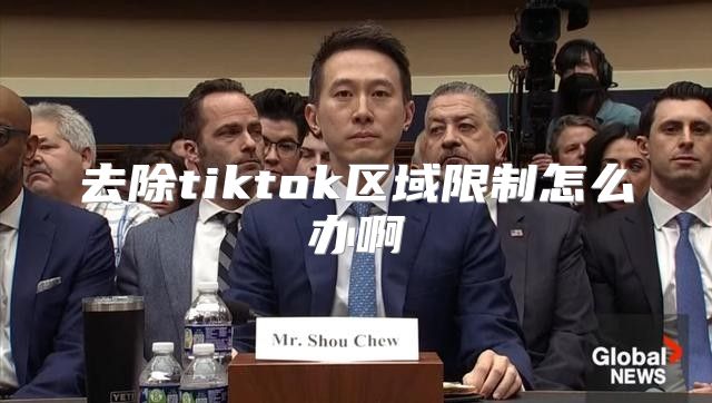 去除tiktok区域限制怎么办啊