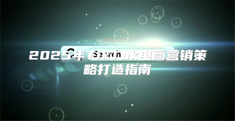 2025年TikTok电商营销策略打造指南