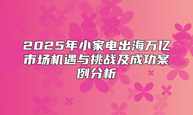 2025年小家电出海万亿市场机遇与挑战及成功案例分析