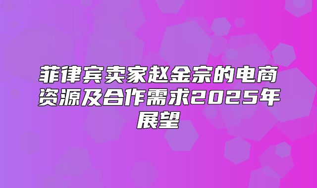 菲律宾卖家赵金宗的电商资源及合作需求2025年展望