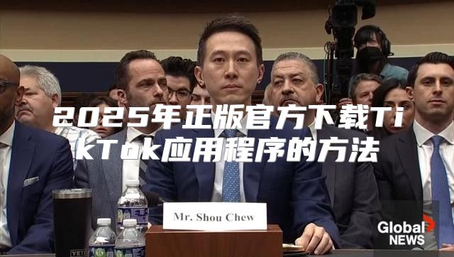 2025年正版官方下载TikTok应用程序的方法