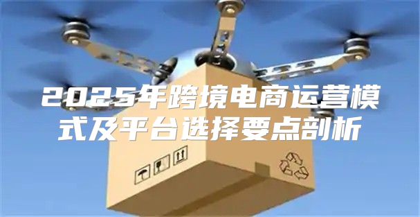 2025年跨境电商运营模式及平台选择要点剖析