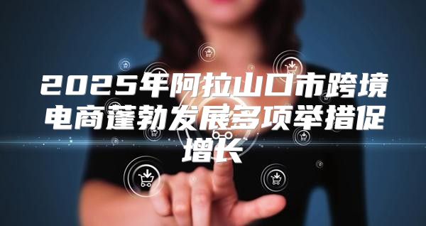 2025年阿拉山口市跨境电商蓬勃发展多项举措促增长