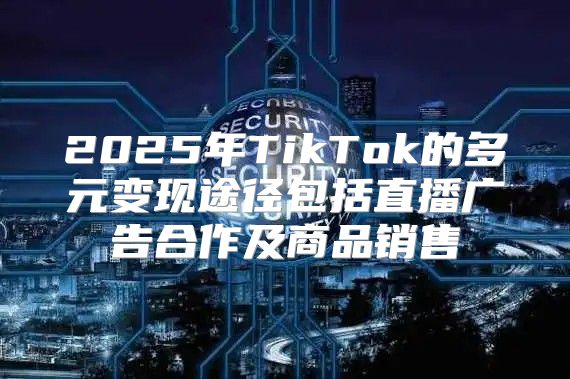 2025年TikTok的多元变现途径包括直播广告合作及商品销售