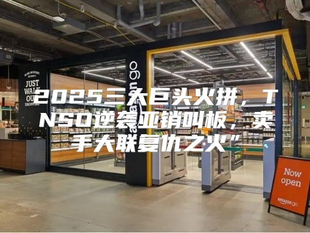 2025三大巨头火拼，TNSO逆袭亚销叫板，卖手大联复仇之火”