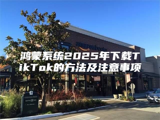 鸿蒙系统2025年下载TikTok的方法及注意事项