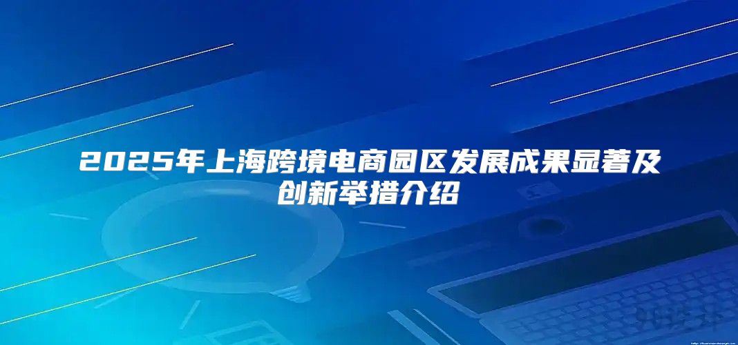 2025年上海跨境电商园区发展成果显著及创新举措介绍