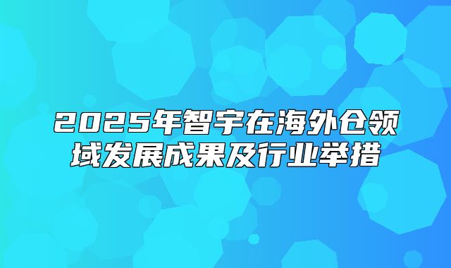 2025年智宇在海外仓领域发展成果及行业举措