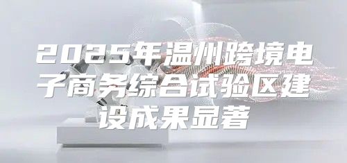 2025年温州跨境电子商务综合试验区建设成果显著