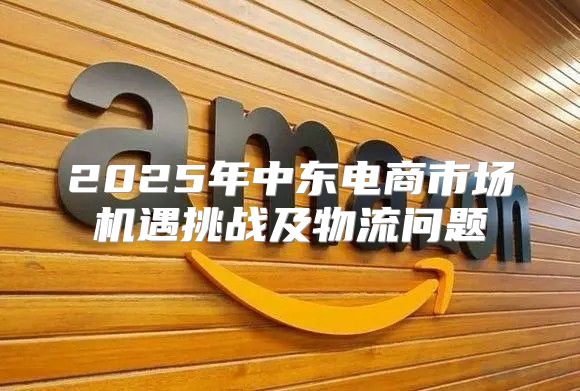 2025年中东电商市场机遇挑战及物流问题