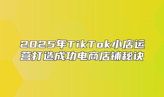 2025年TikTok小店运营打造成功电商店铺秘诀