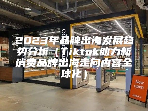 2023年品牌出海发展趋势分析Tiktok助力新消费品牌出海走向内容全球化