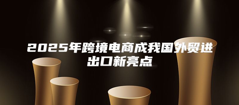 2025年跨境电商成我国外贸进出口新亮点