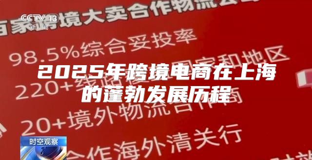 2025年跨境电商在上海的蓬勃发展历程