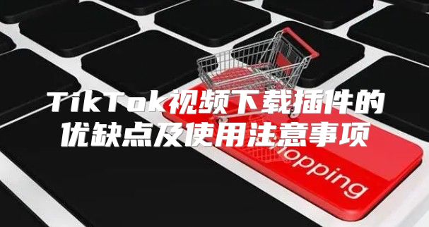 TikTok视频下载插件的优缺点及使用注意事项