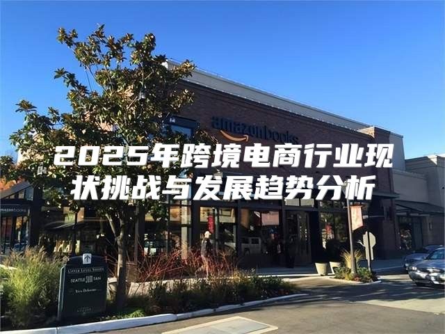 2025年跨境电商行业现状挑战与发展趋势分析