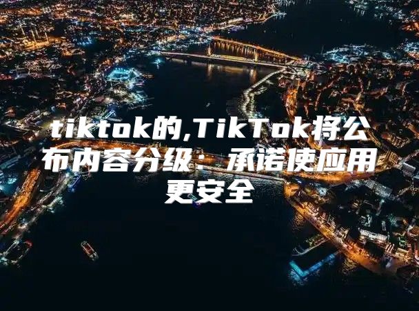 tiktok的,TikTok将公布内容分级：承诺使应用更安全