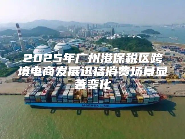 2025年广州港保税区跨境电商发展迅猛消费场景显著变化