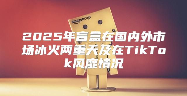 2025年盲盒在国内外市场冰火两重天及在TikTok风靡情况