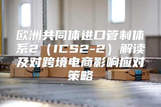 欧洲共同体进口管制体系2ICS2-2解读及对跨境电商影响应对策略