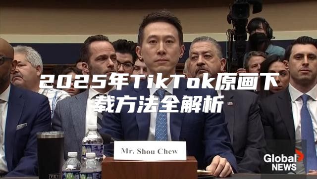 2025年TikTok原画下载方法全解析