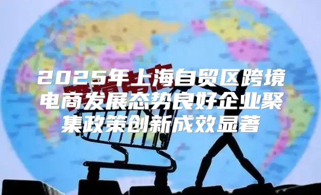 2025年上海自贸区跨境电商发展态势良好企业聚集政策创新成效显著