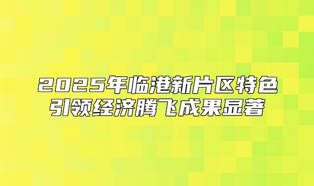 2025年临港新片区特色引领经济腾飞成果显著
