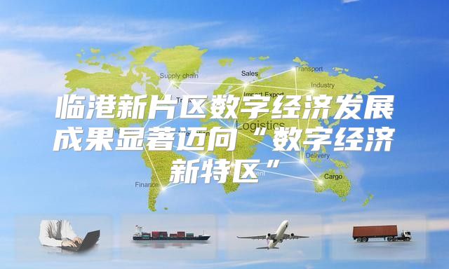 临港新片区数字经济发展成果显著迈向“数字经济新特区”