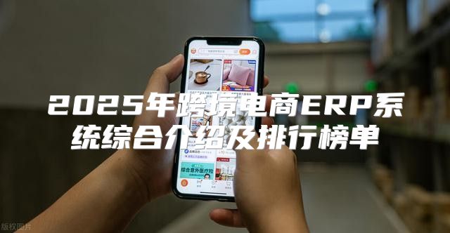 2025年跨境电商ERP系统综合介绍及排行榜单