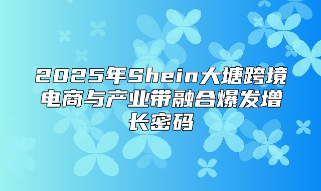 2025年Shein大塘跨境电商与产业带融合爆发增长密码
