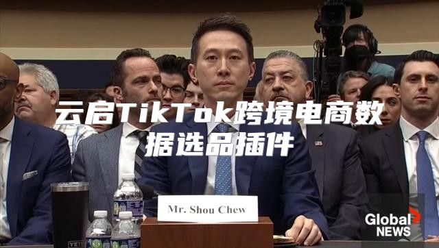 云启TikTok跨境电商数据选品插件