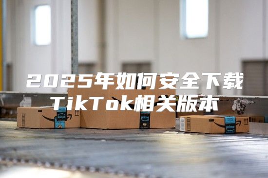 2025年如何安全下载TikTok相关版本