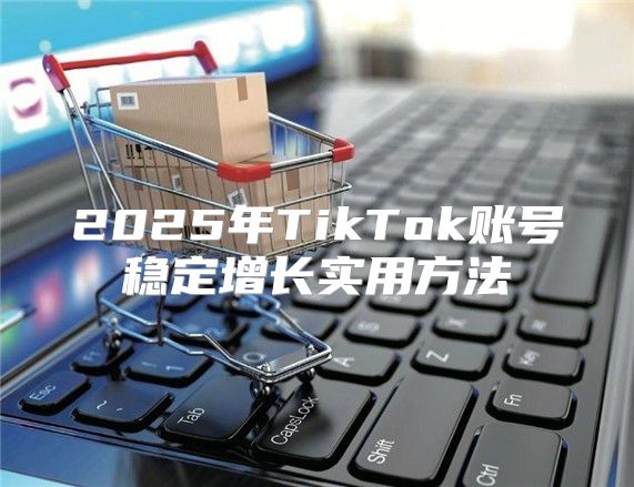 2025年TikTok账号稳定增长实用方法