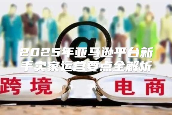 2025年亚马逊平台新手卖家运营要点全解析