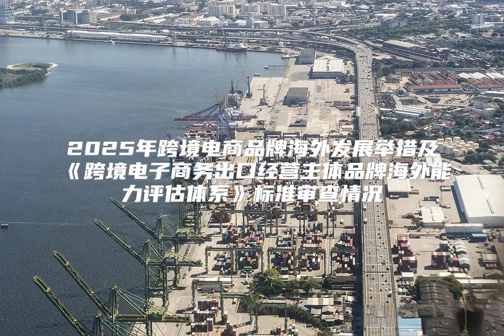 2025年跨境电商品牌海外发展举措及跨境电子商务出口经营主体品牌海外能力评估体系标准审查情况