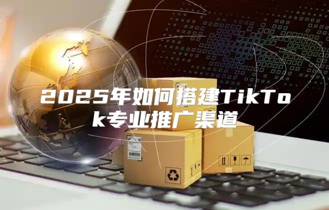 2025年如何搭建TikTok专业推广渠道