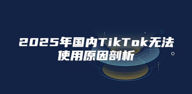 2025年国内TikTok无法使用原因剖析
