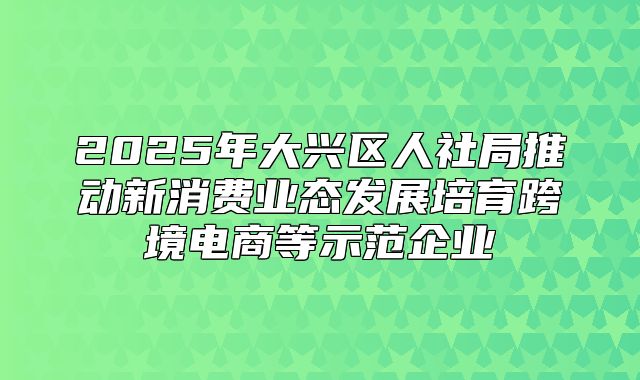 2025年大兴区人社局推动新消费业态发展培育跨境电商等示范企业