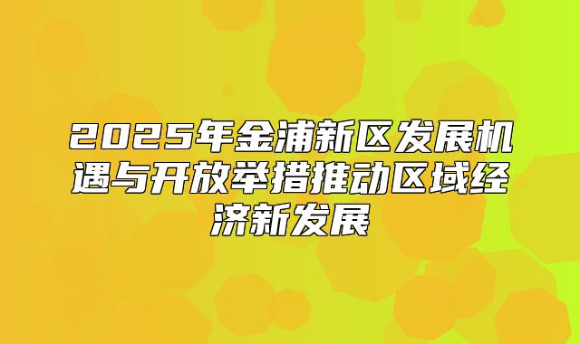 2025年金浦新区发展机遇与开放举措推动区域经济新发展