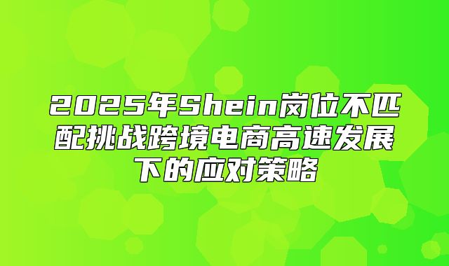 2025年Shein岗位不匹配挑战跨境电商高速发展下的应对策略