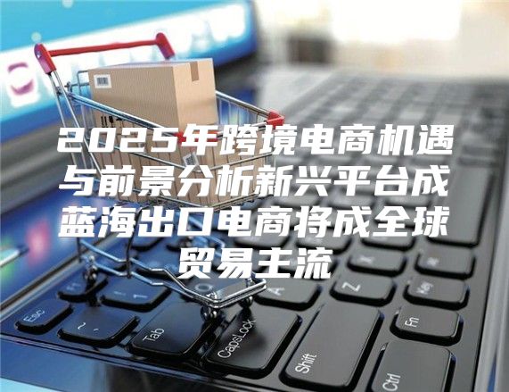 2025年跨境电商机遇与前景分析新兴平台成蓝海出口电商将成全球贸易主流