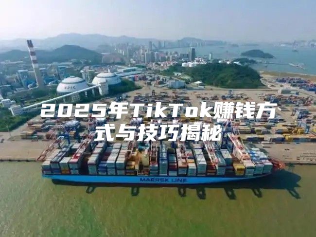 2025年TikTok赚钱方式与技巧揭秘